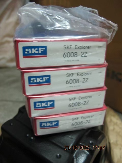 SKF Photo 10